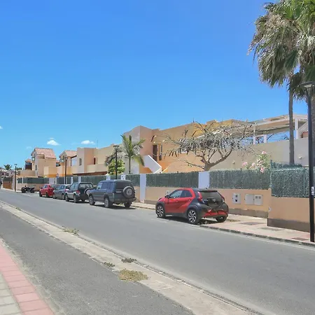 Casa Marta, Delfines, *